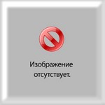 вступления для отчётов по практике социальная робота